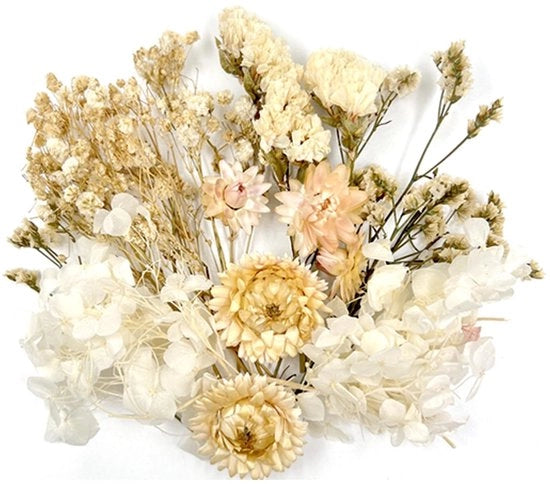 Droga flora per artigianato, fiori secchi per decorazione, piccoli fiori secchi, per artigianato DIY, decorazione, resina epoxy, artigianato, scrapbooking, creazione di cartoline (confezione bianca)