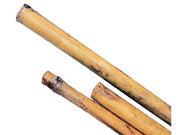 CANNA BAMBOO- - mm.22/24 h.210 - 50 pezzi T-REX