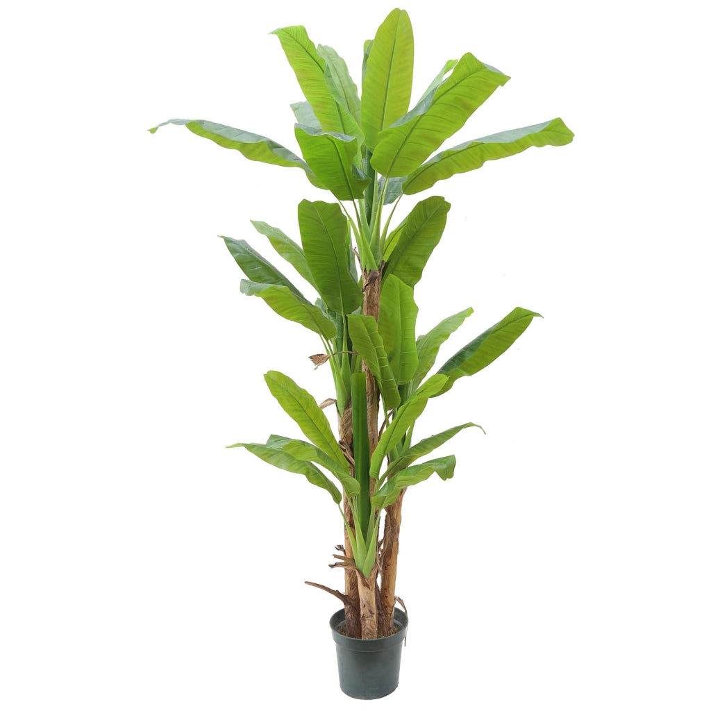 Albero di Banano Artificiale 250cm con 4 Fusti e 34 Foglie Realistiche, Pianta Tropicale Decorativa per Interni, Uffici,