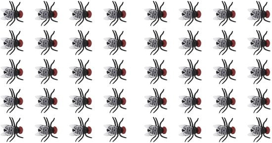 Articoli per il Giorno - 40 Pezzi - Insetti Simulati - Giocattolo Scherzoso - Aspetto Realistico - Materiale Plastico Sicuro - Giocattoli Scherzosi
