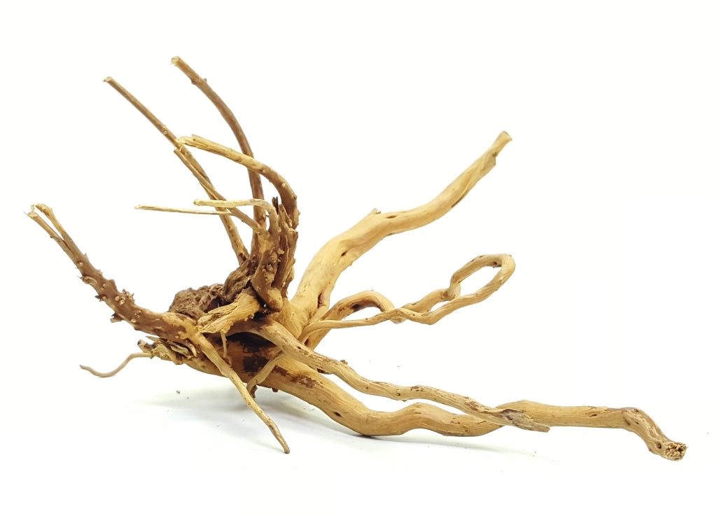 DecorLine Spider Wood Foto Indicativa - Legni decorativi naturali per acqua dolce Modello: L (40-60cm)