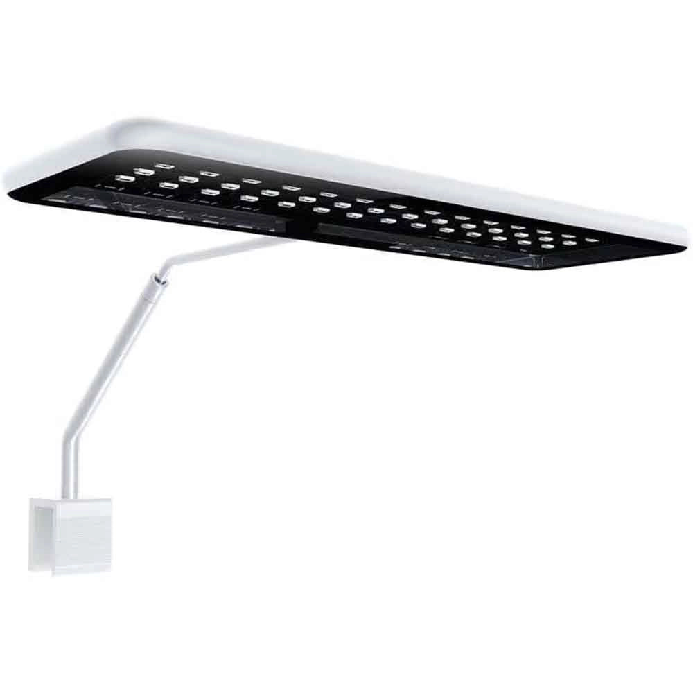 Micmol Aqua CC II 30W Marine - Adatto per acquari marini
