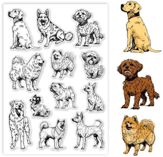 Stampe per cane e gatto trasparenti in silicone