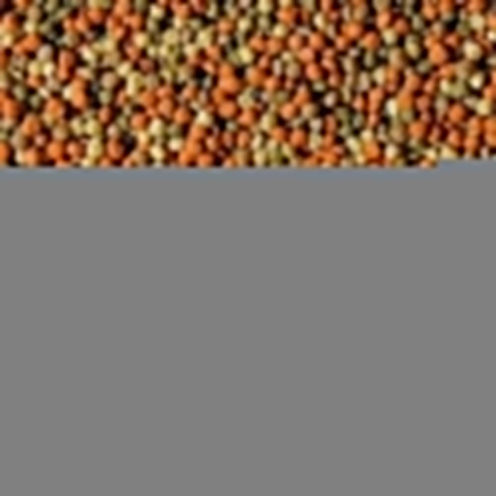 Tropical Pond Pellet Mix Busta da 1000ml/130gr