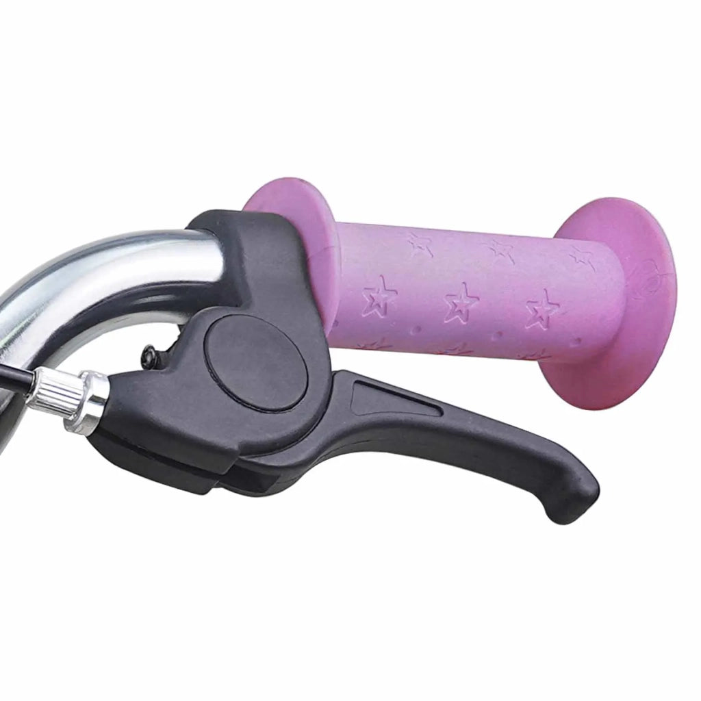 Bicicletta per Bambini | Bici per bambini 16 Pollici per bambini di 4-6 anni Viola