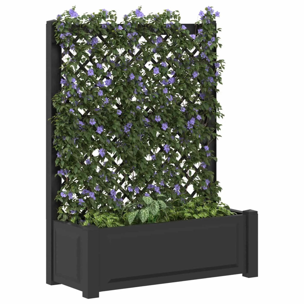Vaso Grande con Direzione Antracite 99,5 x 43 x 133,5 cm PP 42041724