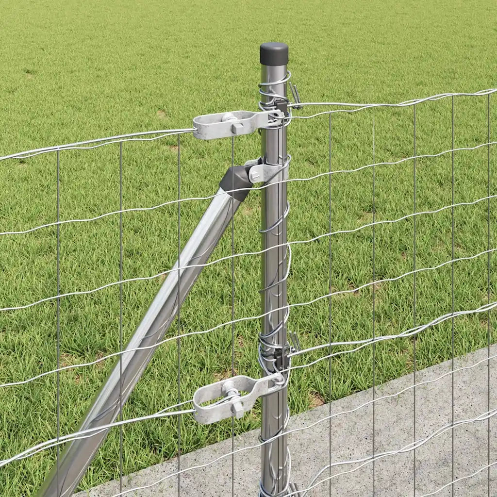Recinzione con Posto Argento 0,6 x 25 m Acciaio