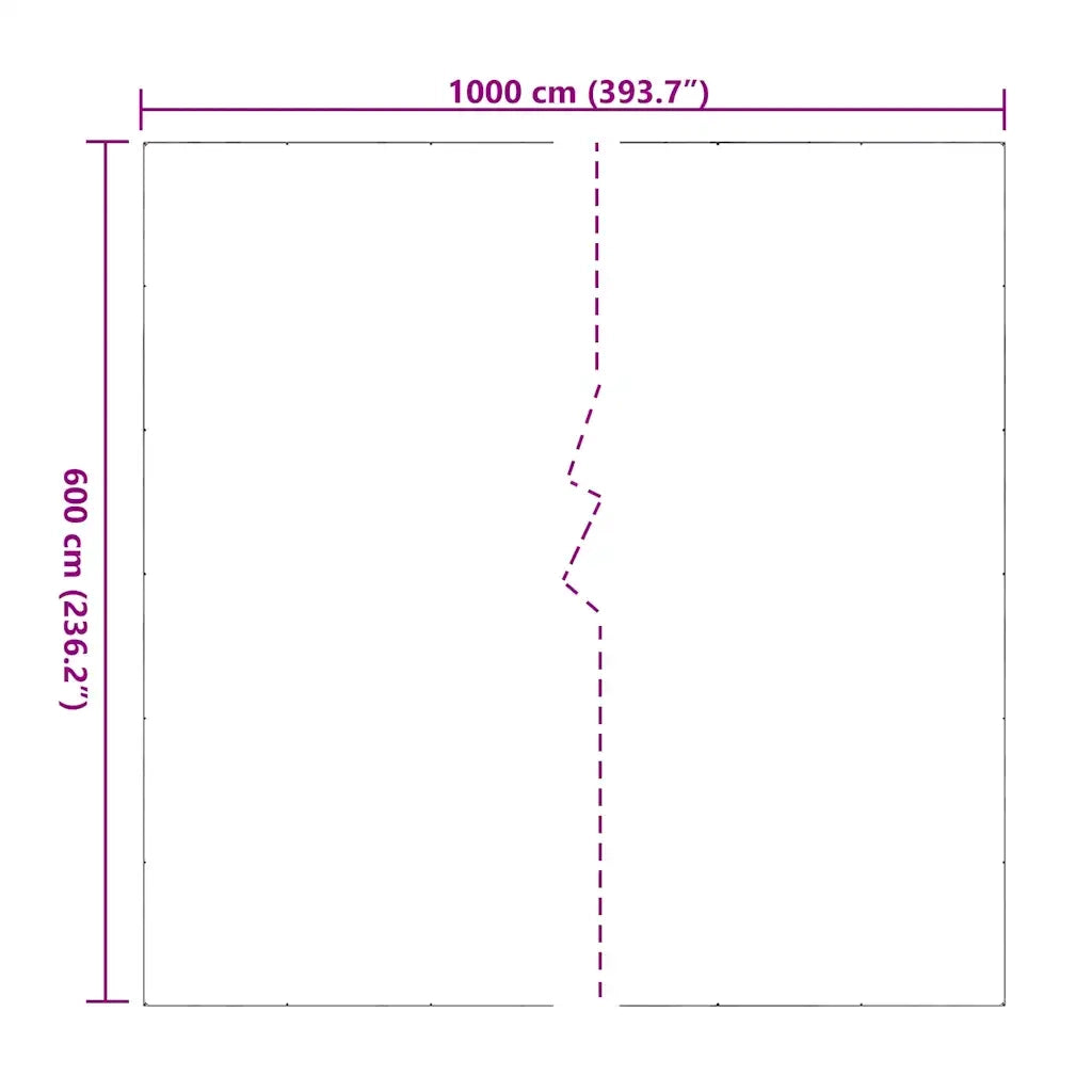 Telone Trasparente con Occhielli 6x10 m in PVC 4018619