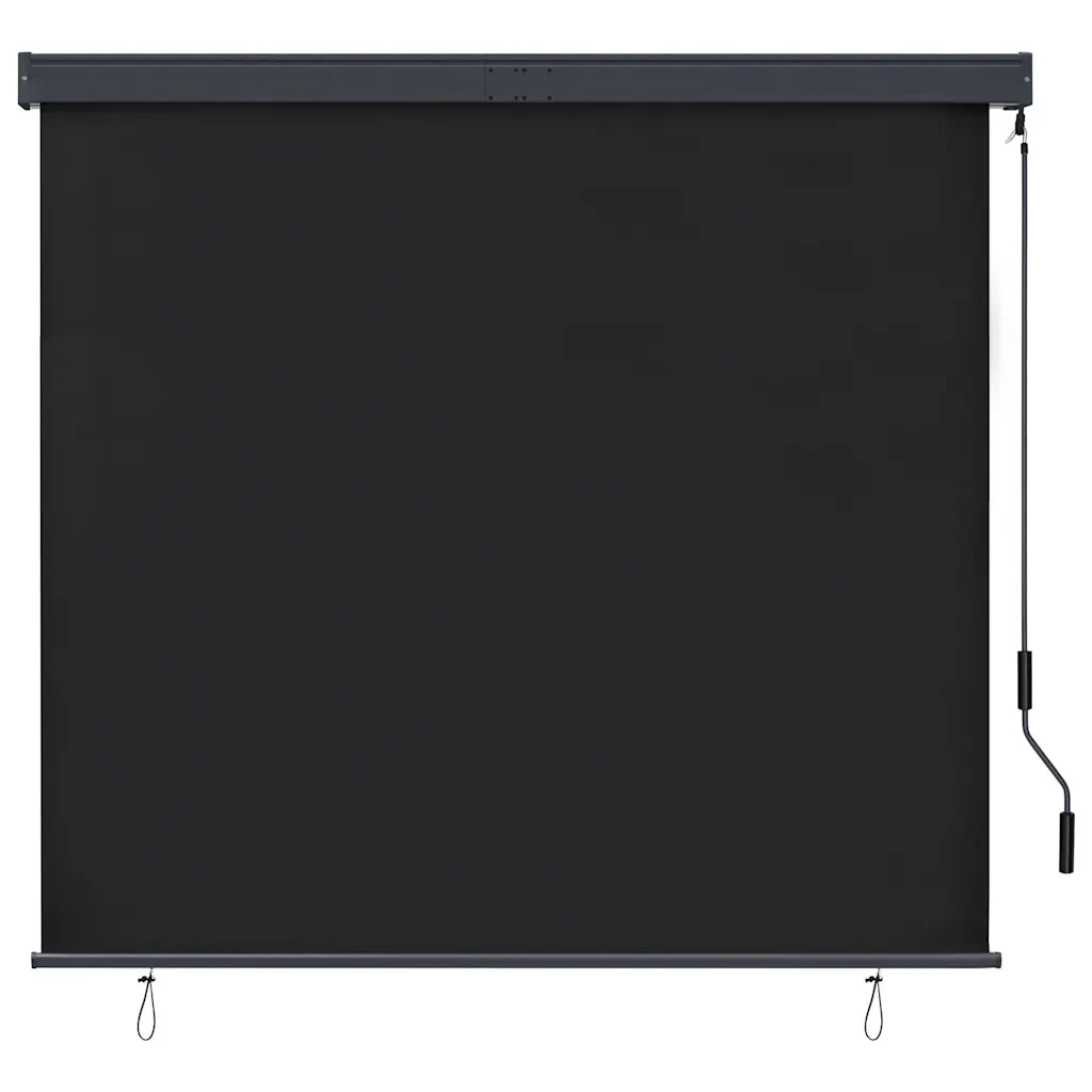 Tenda a rullo | Tenda avvolgibile per Esterni 160x250 cm Antracite
