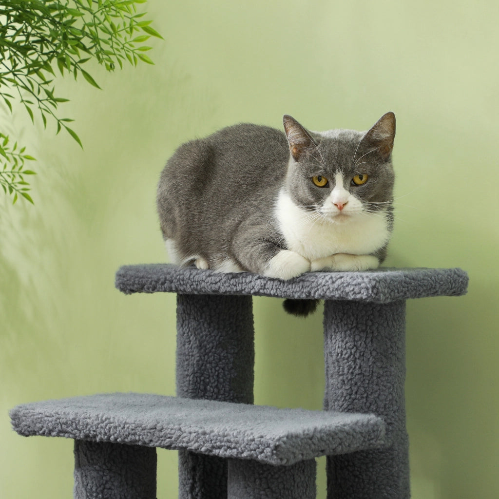 Scaletta per animali domestici, scaletta per gatti, scaletta per cani, 4 gradini, grigia, 63,5x43x60 cm, per gatti e cani, ideale per animali anziani