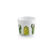 CACHEPOT MAYA 15,5CM  CACTUS- 6,0 pz