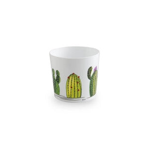 CACHEPOT MAYA 15,5CM  CACTUS- 6,0 pz
