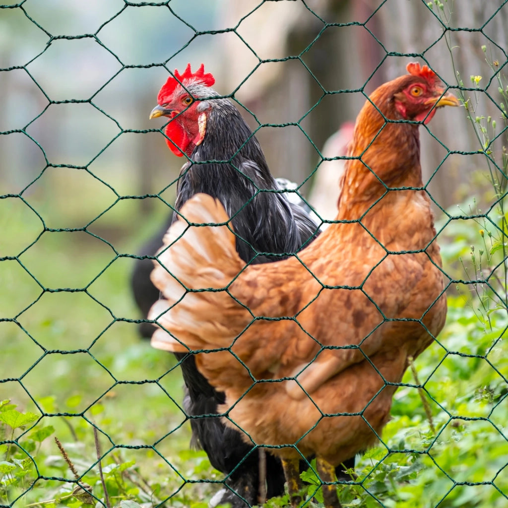 IDMarket - Rete metallica per polli rete verdi 1x25 m, rete a tripla torsione 25 mm, recinto flessibile per giardini di animali