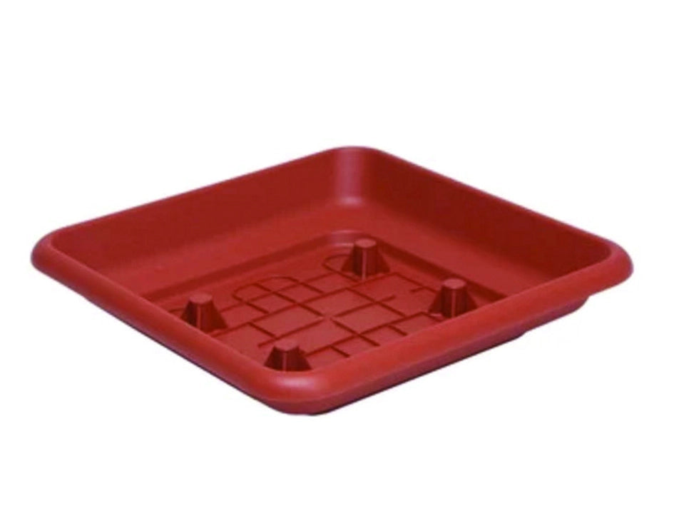 SOTTOVASO QUADRO LAURUS  per 30    ICS