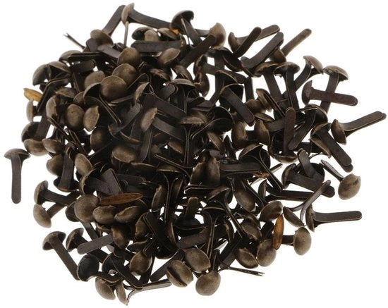 Puntaspilli a scelta multipla 200 pezzi - Accessori di fissaggio metallici - Testa rotonda - Per scrapbooking - Attività di DIY - Adatto a tutti i livelli - Spilli di fissaggio