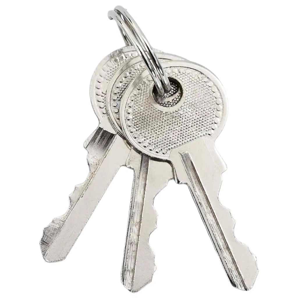 U Lock con Chiavi Ottone 6 x 2 x 9,1 cm Ferro 42021936