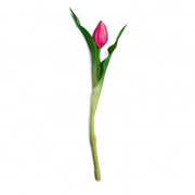 Tulipano fucsia si 42 cm