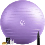 Pallone di Ginnastica Resistente alle Esplosioni 55-85 cm con Pompa - Per Anziani, Terapia, Gravidanza & Addestramento del Centro di Gravità