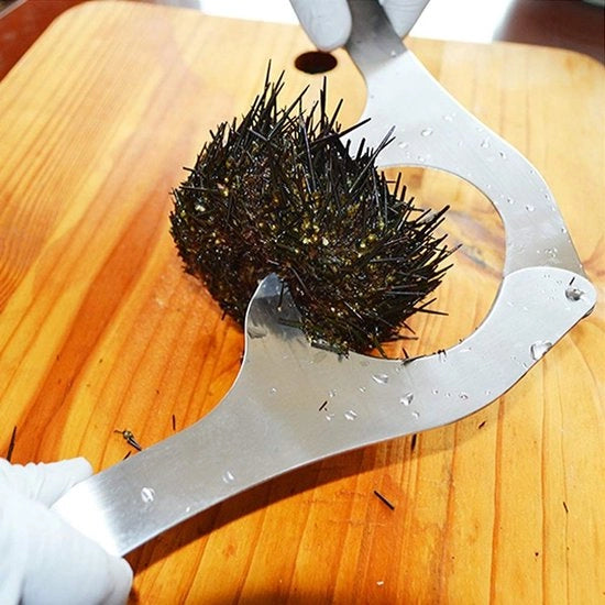 Apriapesci Ergonomico - Multifunzionale - Acciaio Inossidabile - Sostenibile - Manico - Lame Affilate - Utensili da Cucina