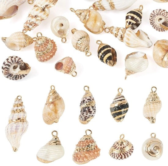 Set di 18 Conchiglie Naturali per Creare Gioielli