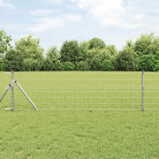 Recinzione Euro 0,8 x 10 m Ferro rivestito in PVC 42004644