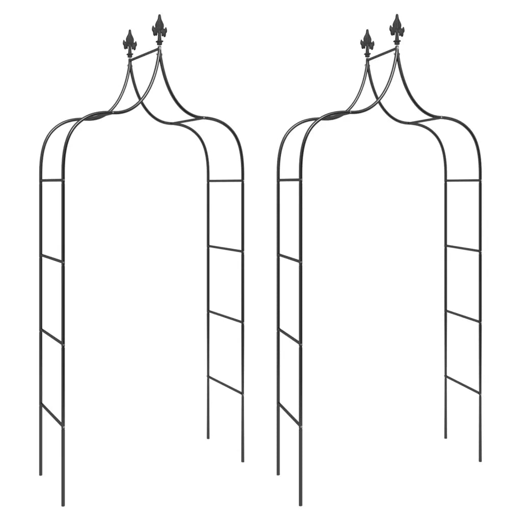 Archi da Giardino 2 pz Neri 120x38x260 cm Acciaio 319349
