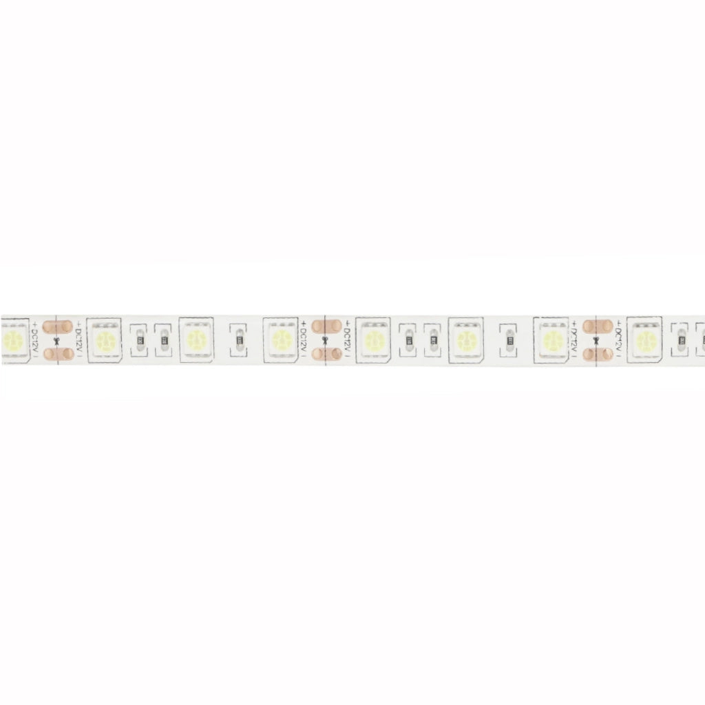 Striscia led 12v 60 led/mt IP65 colore luce blu