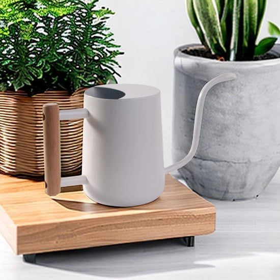 Giocatore per piante da appartamento - piccola secchiata in acciaio inossidabile con lungo tubo per piante - decorazione moderna per interni e esterni
