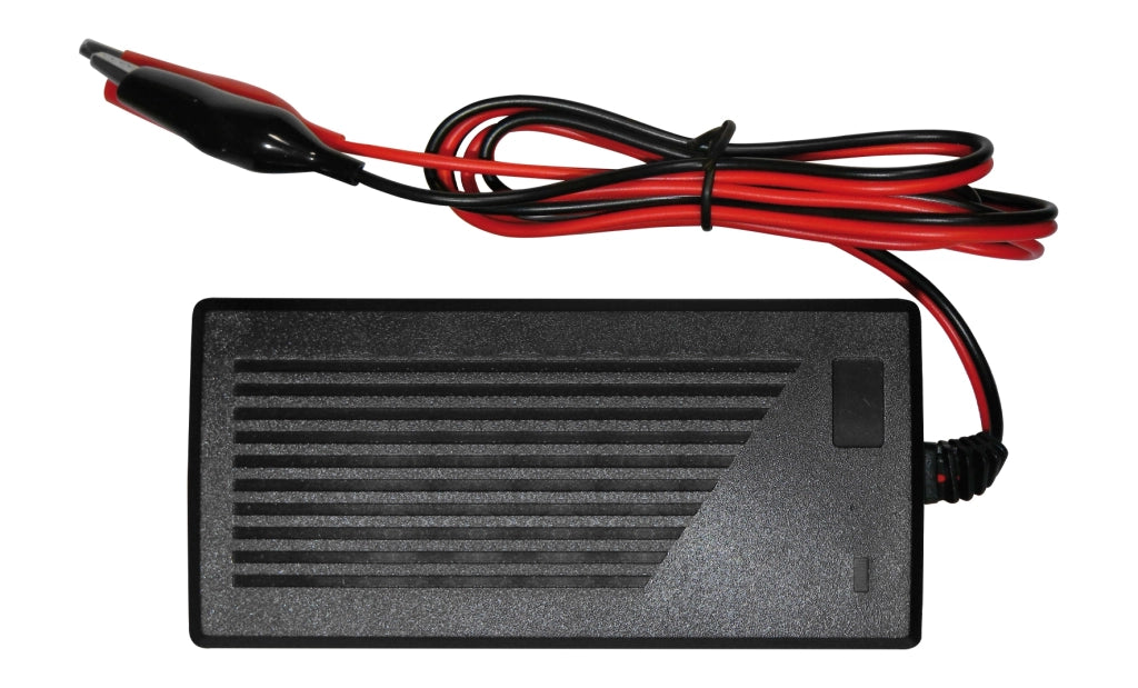 Caricatore per ebike e  pacchi Li-ion  Li-Poly 36V 1,5A