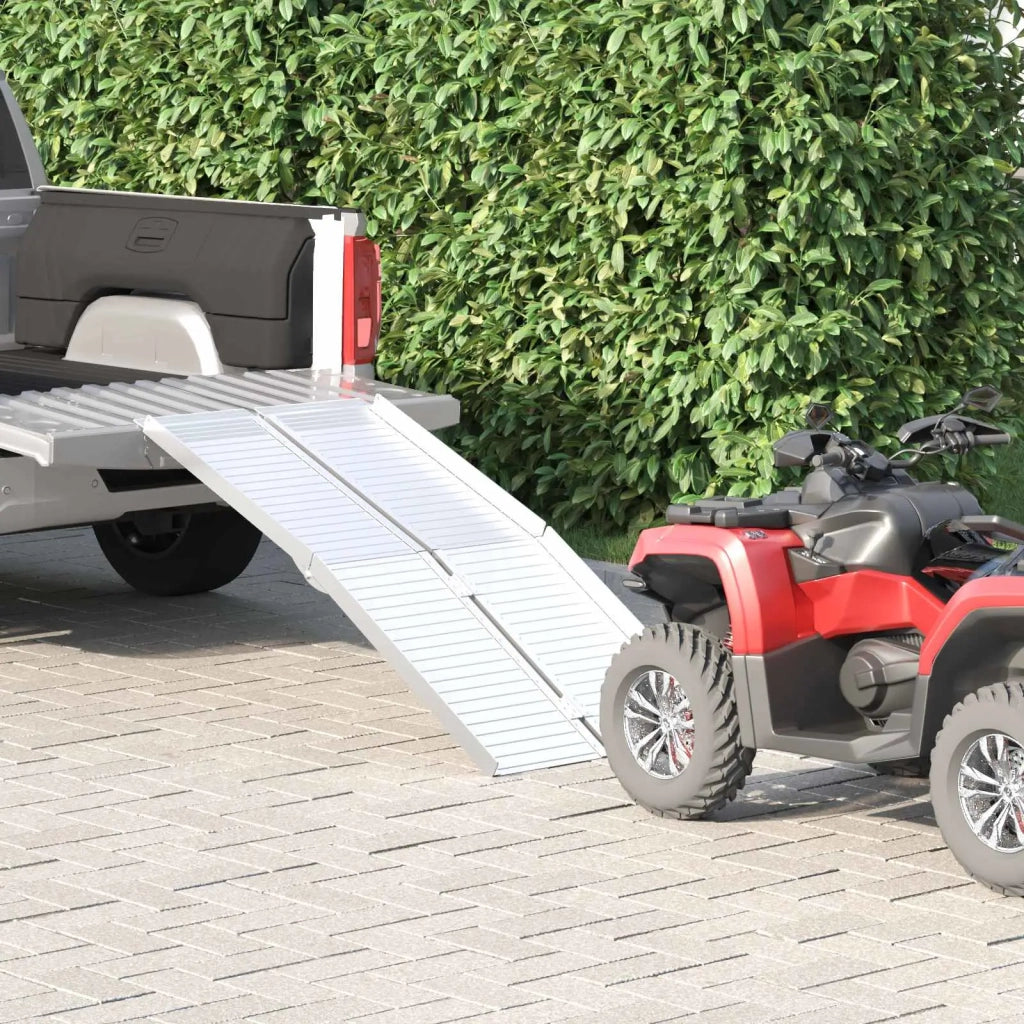 Rampa per sedia a rotelle 270 kg Argento 92 x 73 x 5 cm