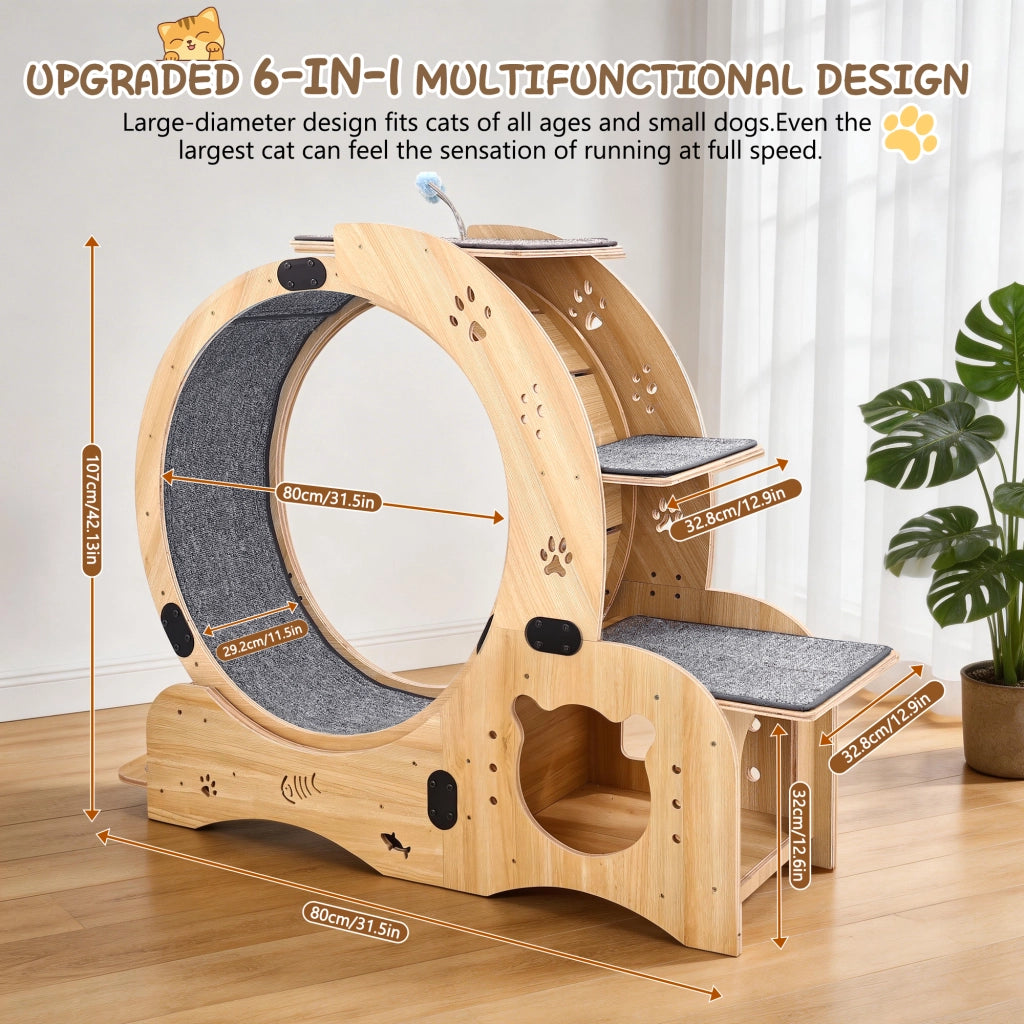 Ruota per gatti 6 in 1, ruota per esercizi per gatti, ruota per esercizi per gatti da interno migliorata, tapis roulant per gatti di grandi dimensioni
