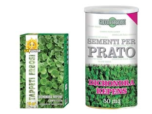 SEMI PRATO DICHONDRA REPENS  gr.500 per mq.50 di prato    FRANCHI
