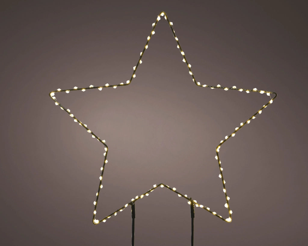 Luce da giardino a pianta Micro LED stella fissa per esterni L 0.6 x Ø 38 cm