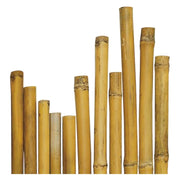 CANNA BAMBU' Ø 24/26 mm. circa - h. mt 2,1- 50 pezzi  - BricoGo