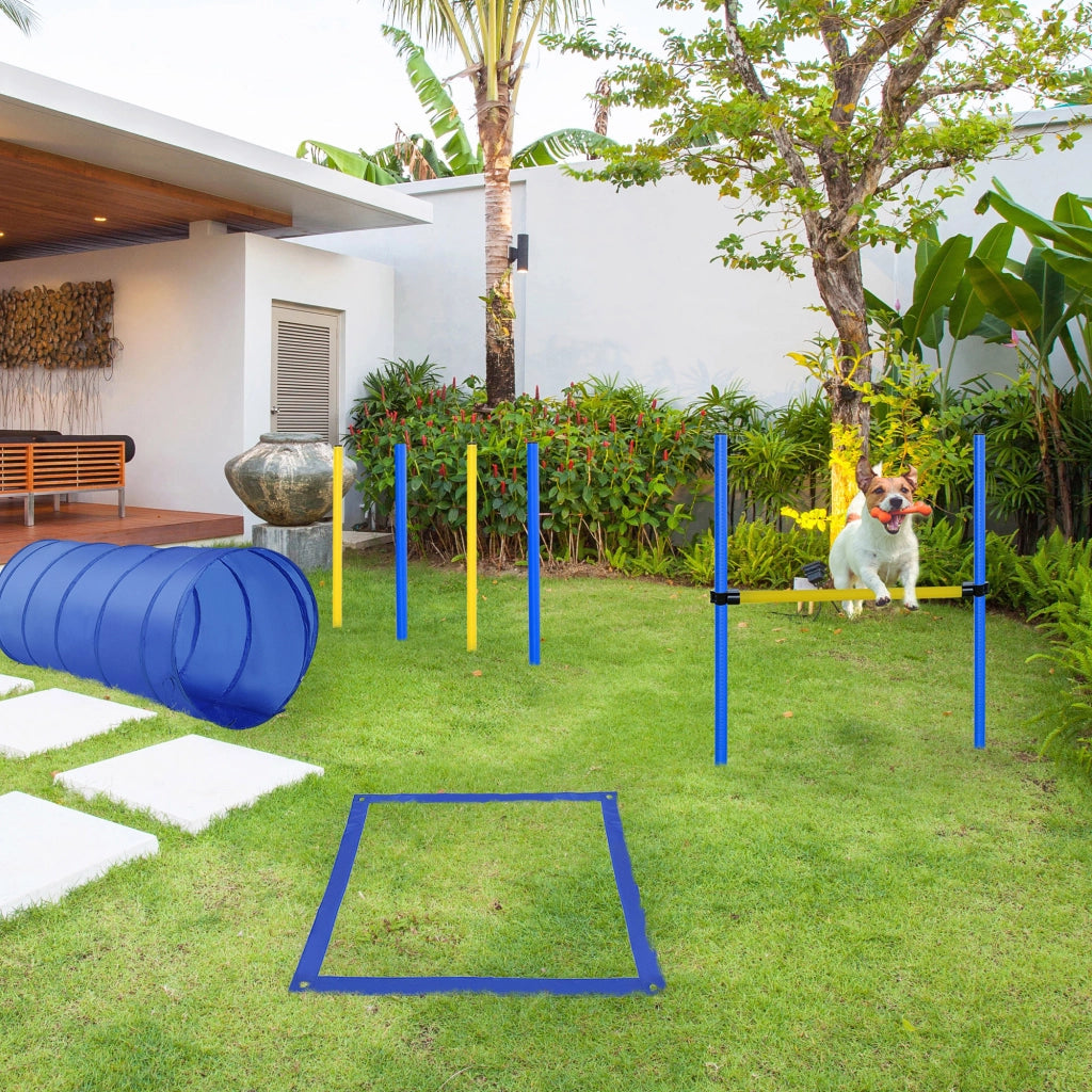 Set Agility per Cani con Tunnel e Stacchetti ¨C Minimal ¨C Blu