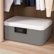 Safefile 2 in 1, cassettino chiusura, 26 x 22 x 12 cm, compatibile con telefoni cellulari, cassette di sicurezza, grigio