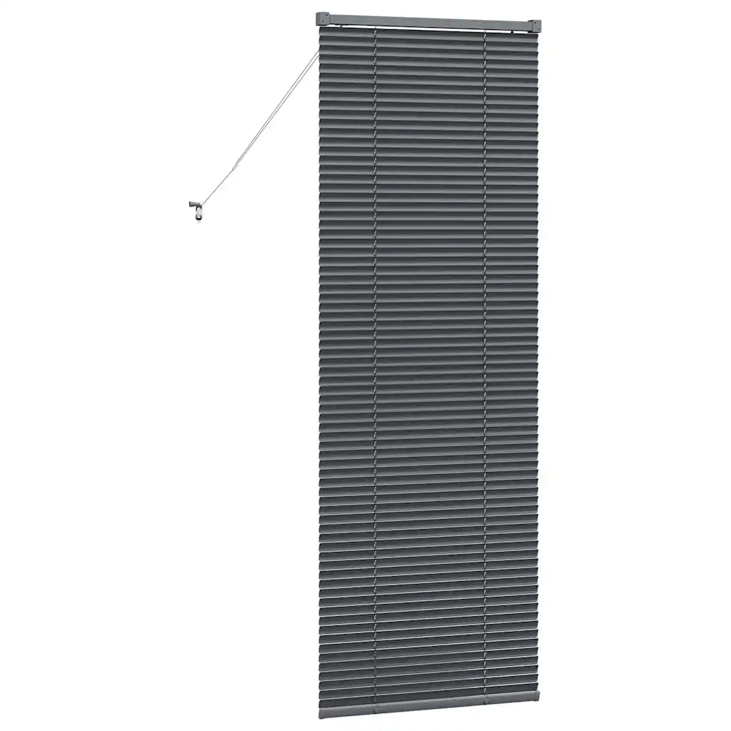 Tendaggi a Veneziana | Tenda a lamelle Grigio scuro 175 x 65 cm Alluminio