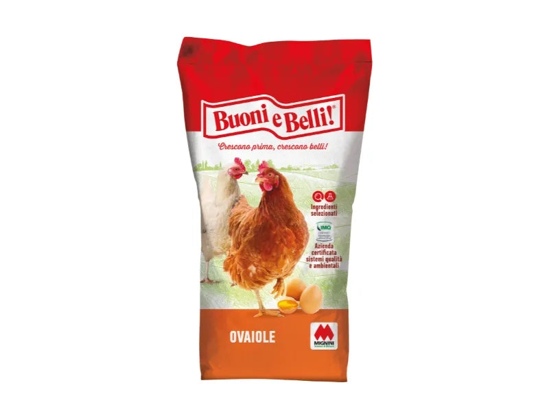 Mangime Ovomio sbriciolato galline ovaiole Mignini e Petrini sacco 10kg 25kg - 25 Kg