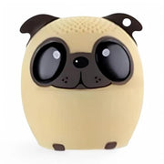 Speaker Pet ABS Cane