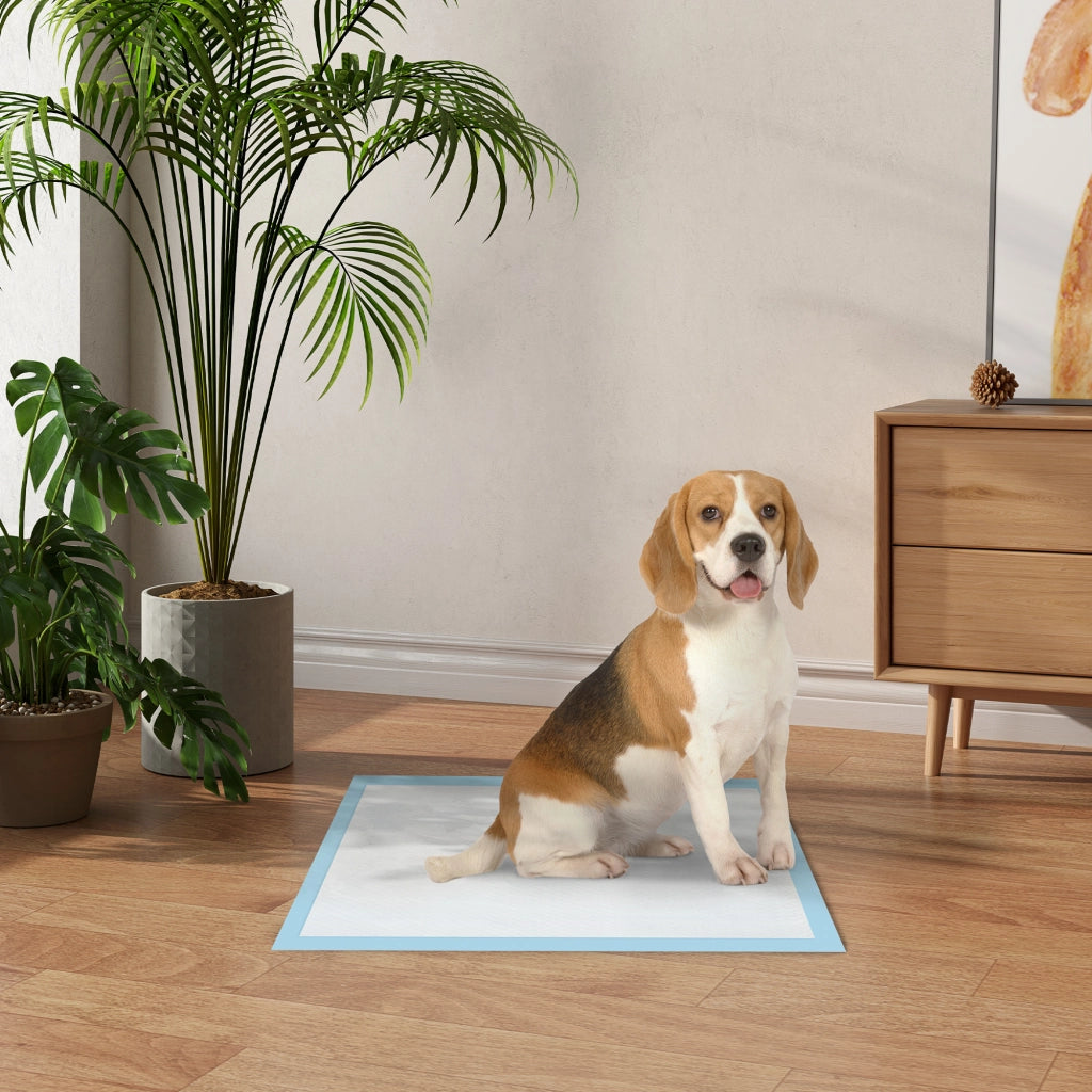 Tappetino Assorbente per Cani ¨C Minimal ¨C 60x60 cm Blu 6 Strati Antifuga