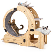 Ruota per gatti 6 in 1, ruota per esercizi per gatti, ruota per esercizi per gatti da interno migliorata, tapis roulant per gatti di grandi dimensioni