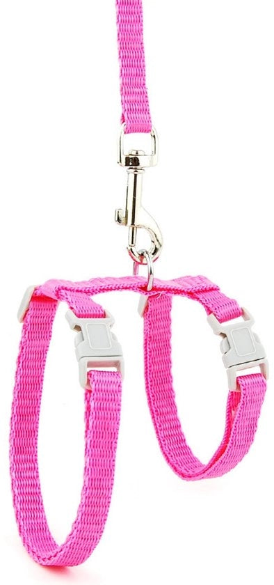 Kit di Cinturazione per Gatti - Cinturino Adattabile per Gatti e Piccoli Cani - Cinturone per Gatti e Cani con Leva I - Leash di Sicurezza - Con Viti per Prevenire la Fuga - Comodo - Per Gatti e Piccoli Cani