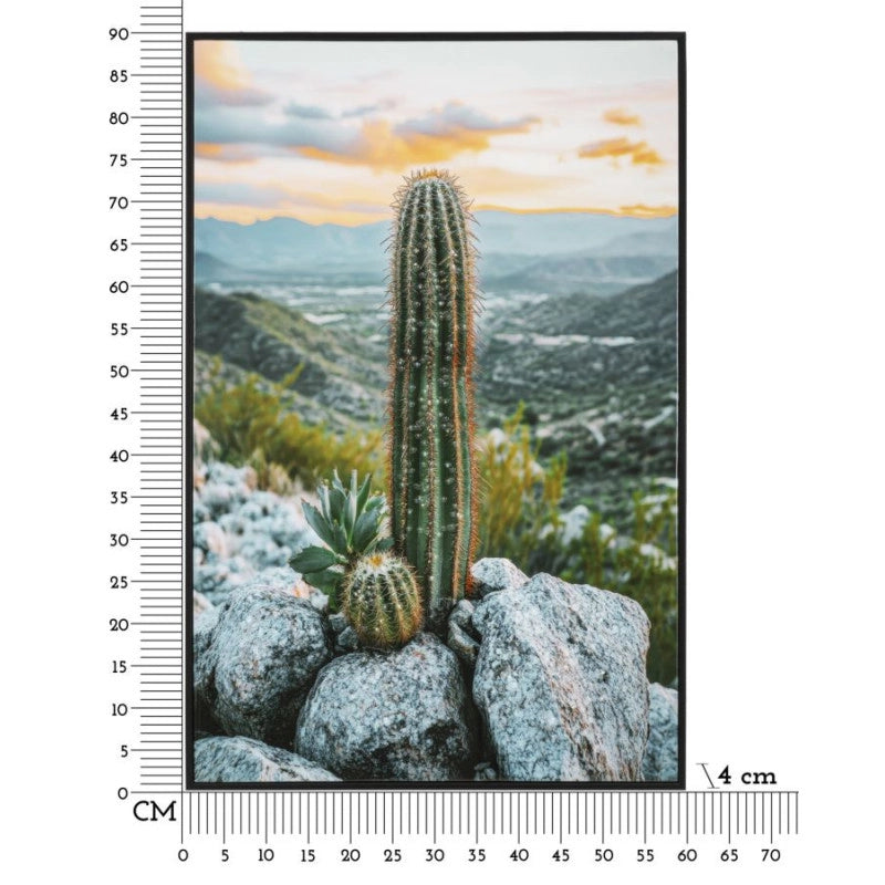 Stampa Su Tela Laccata Con Cornice Cactus -a- cm 60x4x90
