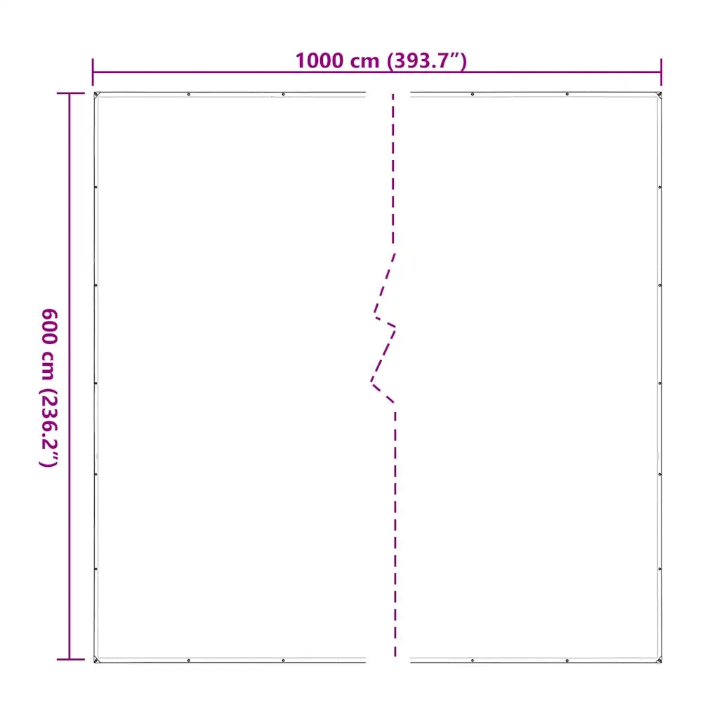 Telone Trasparente con Occhielli 6x10 m in Polietilene 4018531