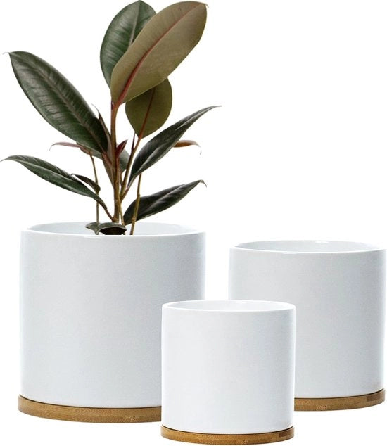 Pannelli per piante in ceramica con supporti in bambù - 3 pezzi - bianchi - ceramica