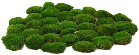Kit di decorazione per interni con piante artificiali - Palazzo di muschio decorativo - Kit DIY naturale verde - Decorazione per parete - Arte per l'arredamento - Facile da mantenere - Decorazione con muschio