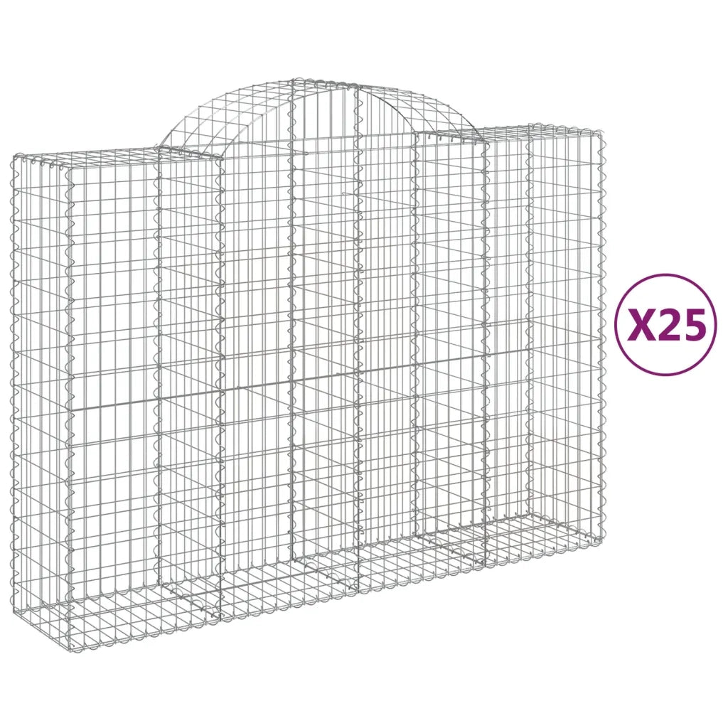Cesti Gabbioni ad Arco 25 pz 200x50x140/160 cm Ferro Zincato 3146378
