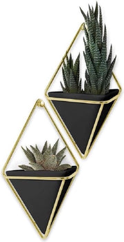 Display per parete, set da 2, Nero/dorato