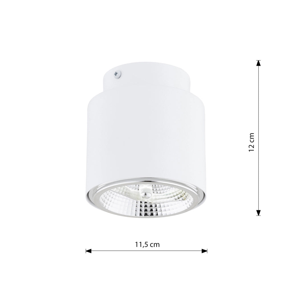 Plafoniera Moderna 1 Luce Faretto Ptah In Acciaio Bianco