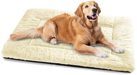 Letto per Cani per Grandi Cani, Cuscino per Cani Lavabile - 122x75 cm Letto per Gatti Supercomodo con Fondoscala Antiscivolo - Beige